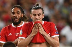 九游新闻-波黑逆转希腊，晋级欧预赛半决赛的简单介绍